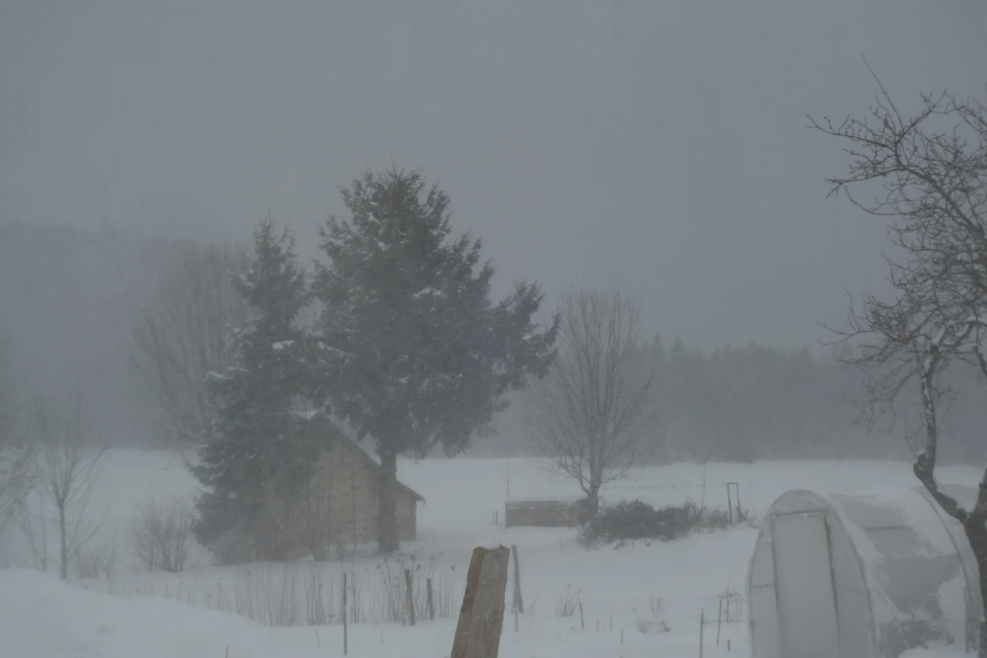 Photo sortie cmmh0ytdf000bqq01luwshzgs